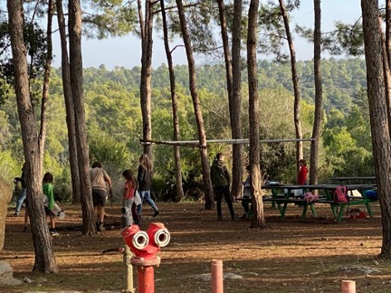 הסטודנטים ביער