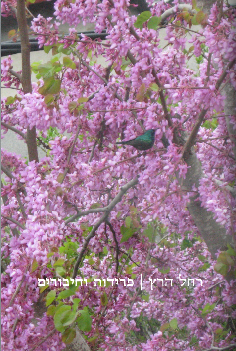 Separations-and-connections