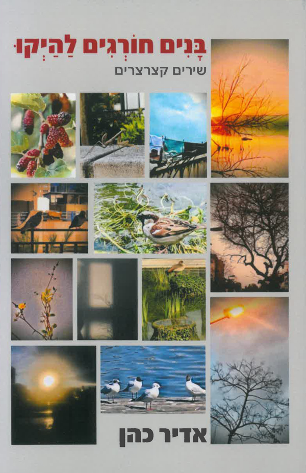 בנים-חורגים-להיקו