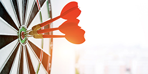 התכנית למוח ולמידה