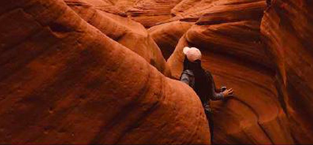 במבוך החינוך המיוחד: מהאקדמיה להתמחות בהוראה