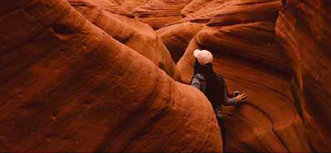 במבוך החינוך המיוחד: מהאקדמיה להתמחות בהוראה