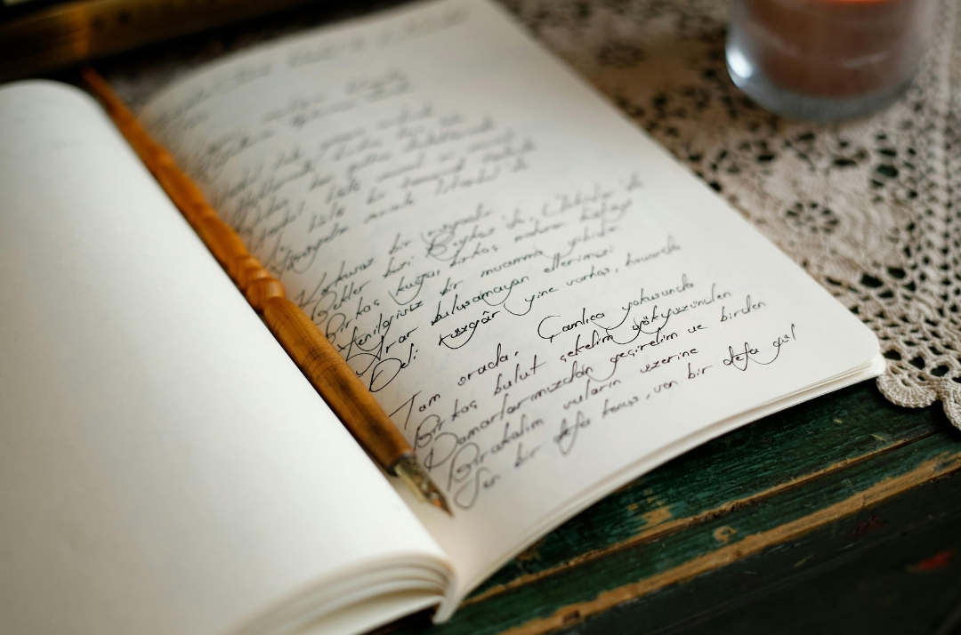 ביקורת מרשימה