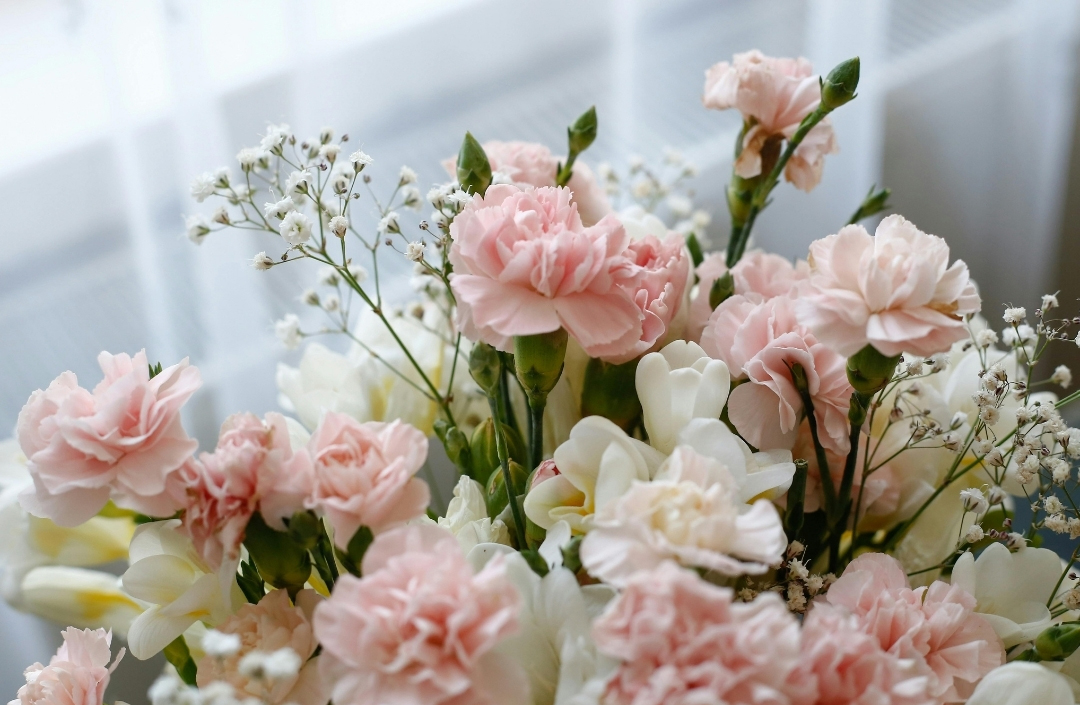 בשורות משמחות מהפקולטה לחינוך!